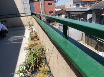 ベランダの手すり