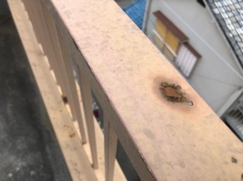 てすりにさび
