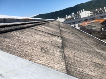 棟板金