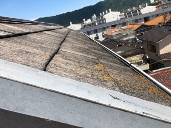 屋根南面