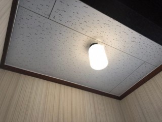 ジプトーン施工