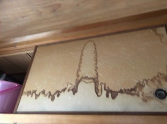 ふすまに雨しみ