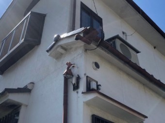 竪樋が外れた