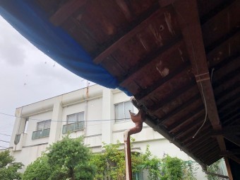 下屋軒下