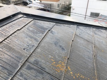屋根_無料点検_ カビ_ 塗膜劣化