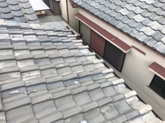 屋根_雨樋_無料点検_ 状態