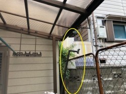 雨樋の破損