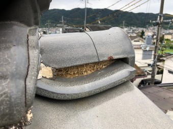 巴瓦