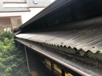 樋のごみ清掃