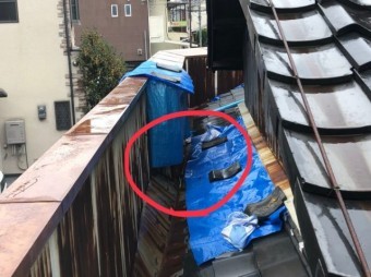 雨漏り養生