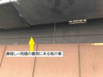 鼻隠しのひび割れ