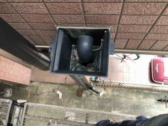 樋にごみが溜まっている