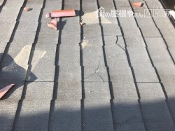 カラーベスト取替前