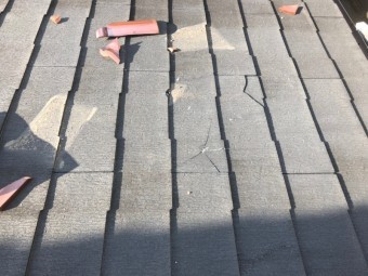 カラーベスト取替前