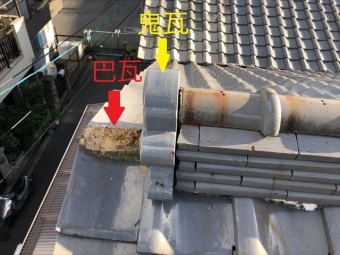 巴瓦が落ちた