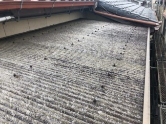 八尾市で波板工事
