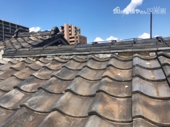 漆喰全体が見える写真