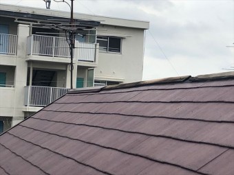 棟板金の下地が腐っている