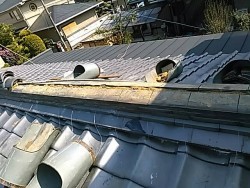棟詰み直し