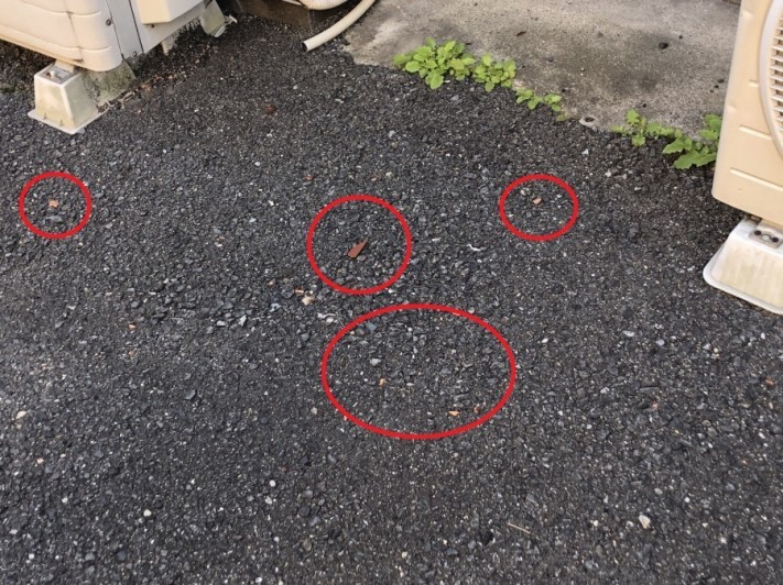 八尾市で瓦の破片が落ちている