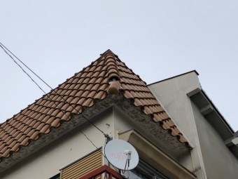 見上げた屋根