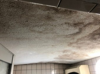 お風呂場の天井