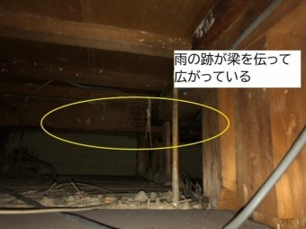 八尾市天井裏の点検