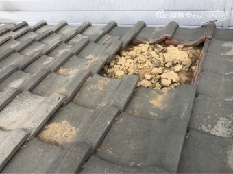 瓦
