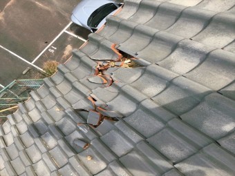 屋根瓦がずれている様子