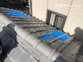 台風養生