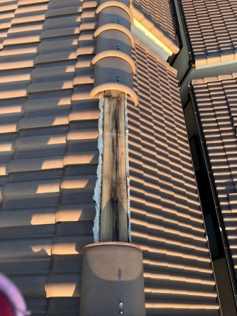 7adf6a6ab90b8d517ce20d431e0fefe1-1-columns2