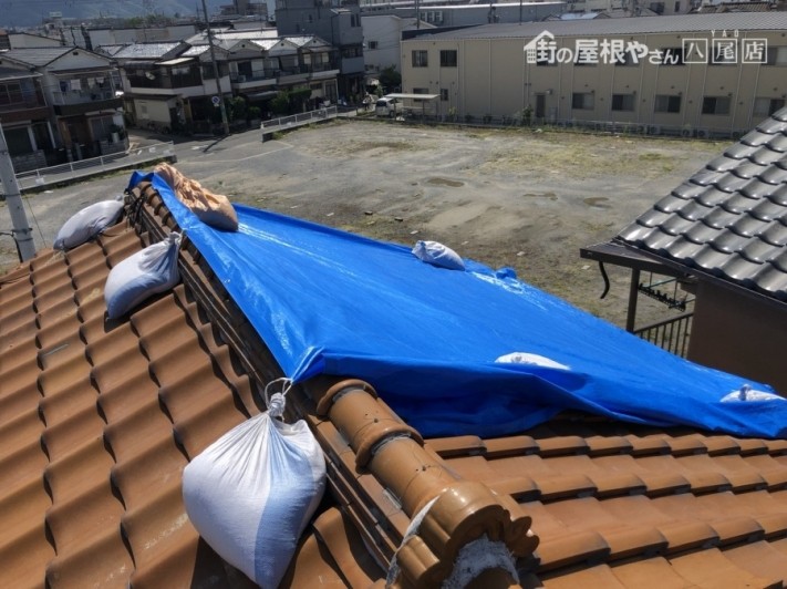 八尾市 台風後の応急処置