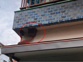ベランダ下の角マス