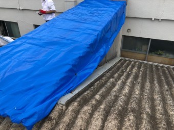 屋根応急処置後