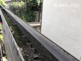 波板 樋の掃除 八尾