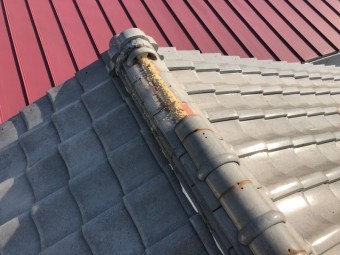棟瓦が飛んだ