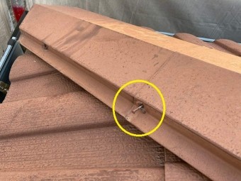 棟板金釘の抜け