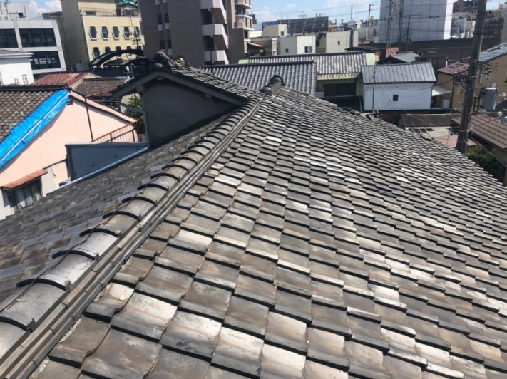 屋根全体の様子