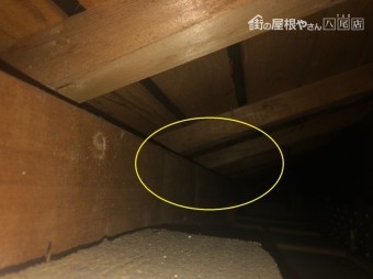天井裏にしみ