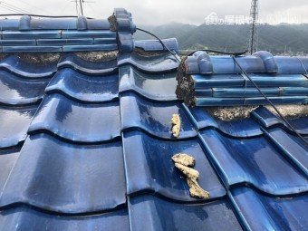 漆喰が取れている