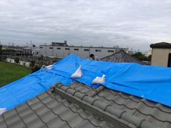八尾市 屋根にブルーシート