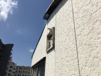 下から除いた写真