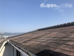 施工前シングル