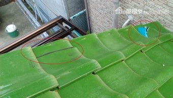 八尾市で瓦にヒビ