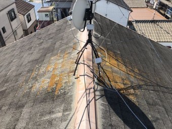 屋根