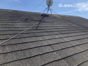 屋根