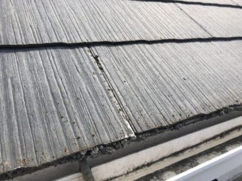 屋根に苔がついている