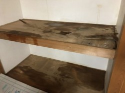 押入れの中で雨漏り