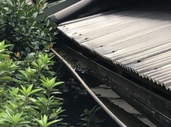 樋のごみ
