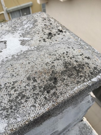 S__19120140-columns2